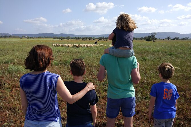 Private Bike Tour with Olive Oil Tasting - The weather warning is worth taking seriously