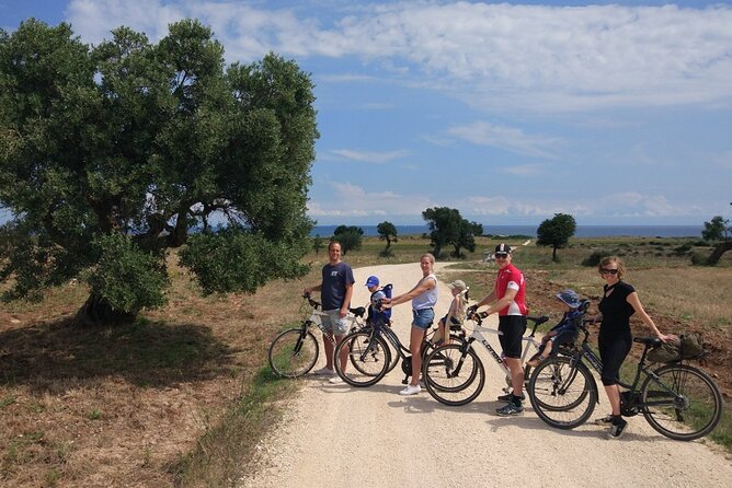 Private Bike Tour with Olive Oil Tasting - Who will enjoy this private bike tour?