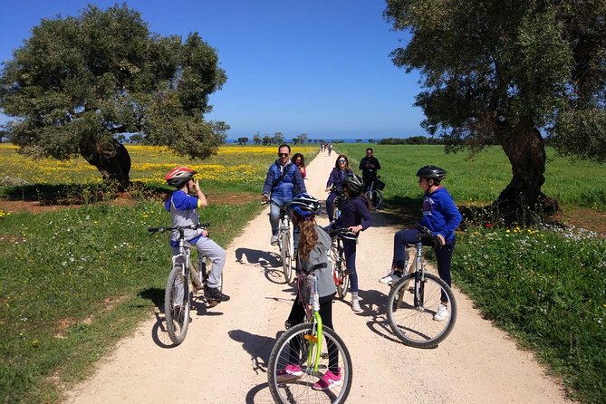Private Bike Tour with Olive Oil Tasting - Starting in Montalbano, not central Brindisi
