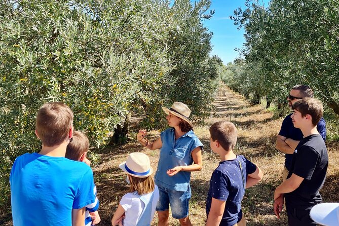 Private guided tour, olive grove in Salon de Provence. - The bories add more than decoration