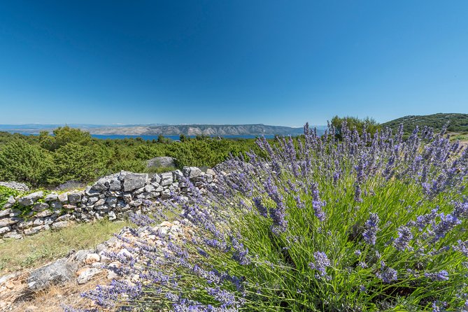 Private Hvar Island Tour and Olive Oil Tasting - Why this tour adds another side to Hvar