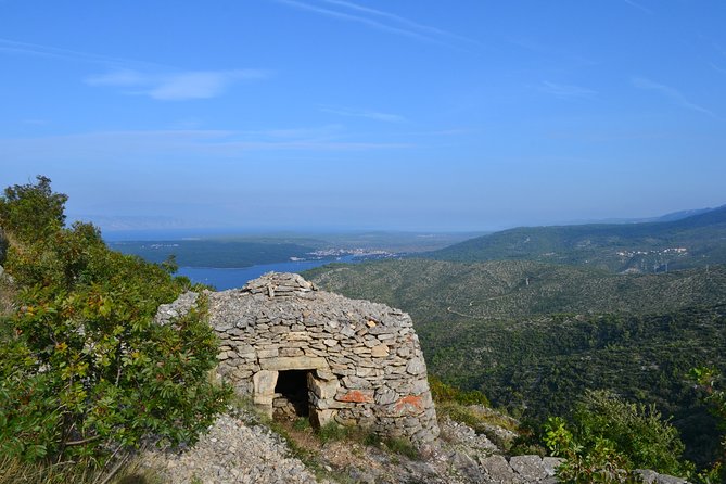 Private Hvar Island Tour and Olive Oil Tasting - Who should book this Hvar outing