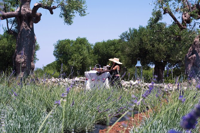 Private Olive Oil Tasting in Polignano a Mare - Tasting cold-pressed Apulian olive oil