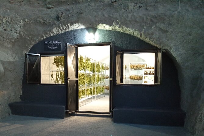 Private Olive Oil tasting & Liqueur experience - Walking through the black raisin vineyard