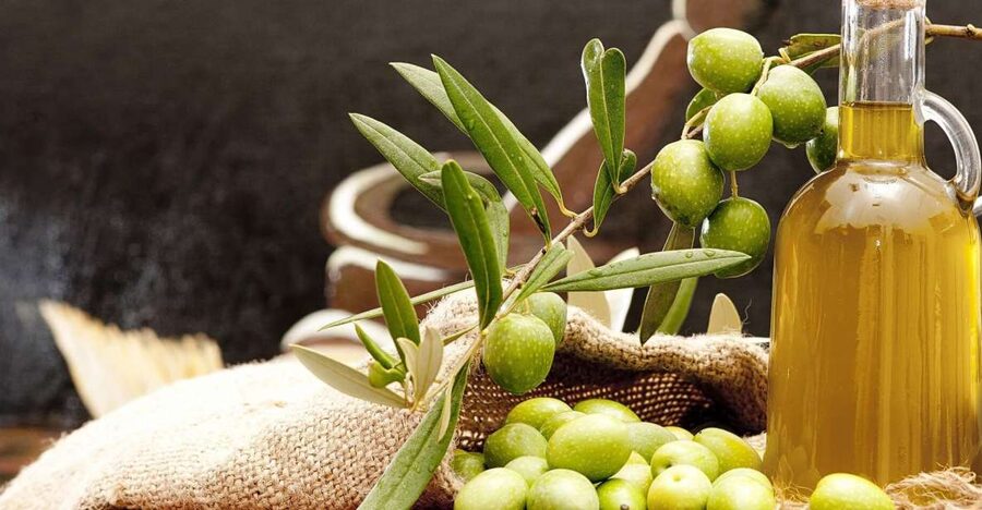 Private Olive Oil Tour & Tasting with Lunch from Katakolo - Returning to Katakolo before your ship departure