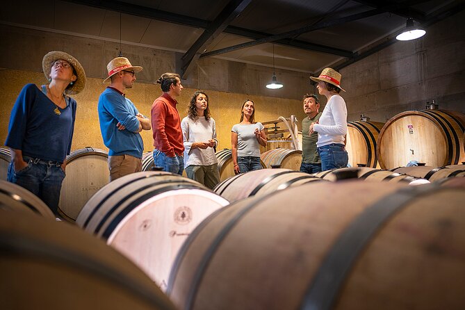 Private Pic Saint Loup Wine and Olive Tour from Montpellier - A 15-minute view of Pic Saint-Loup