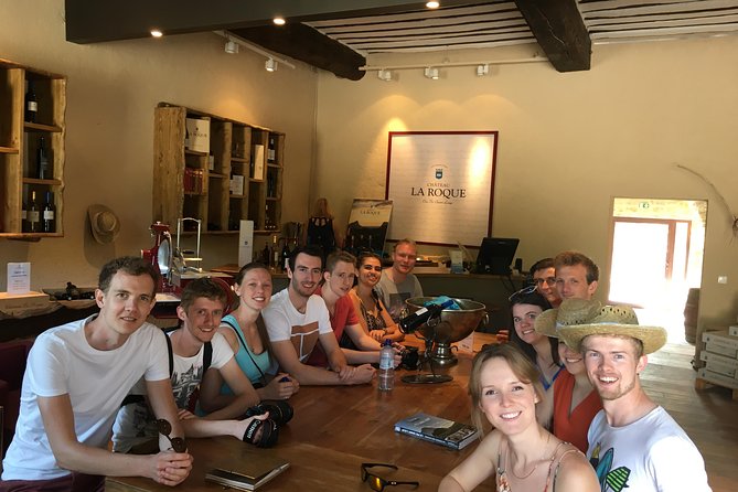 Private Pic Saint Loup Wine and Olive Tour from Montpellier - What the guides add