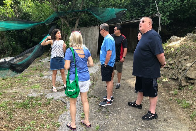 Private Pompeii Tour with lunch and Olive Oil Factory Experience - Is $528.67 per person a fair price?