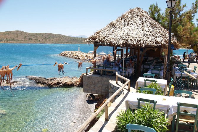PRIVATE Spinalonga & Agios Nikolaos & Olive Oil Factory CRETE - The Vassilakis Estate Olive Oil Visit