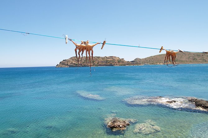 PRIVATE Spinalonga & Agios Nikolaos & Olive Oil Factory CRETE - Who Will Enjoy This Day Most