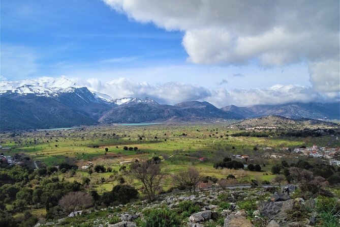 Private Tour-Authentic Villages of Lasithi Olive Oil and Wine - Krasi and its 2,400-year-old plane tree