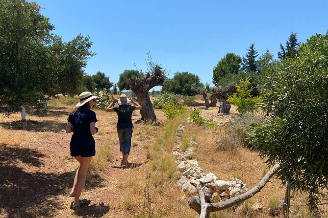 Private Tour: Discover the Secret World of Olives in Afantou - Herbs, flowers, and a farm full of animals