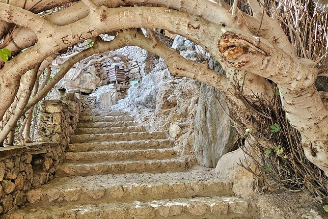 Private Tour Elafonisi Beach with Honey Olive Oil & Wine Tastings - Elos village and a real lunch choice