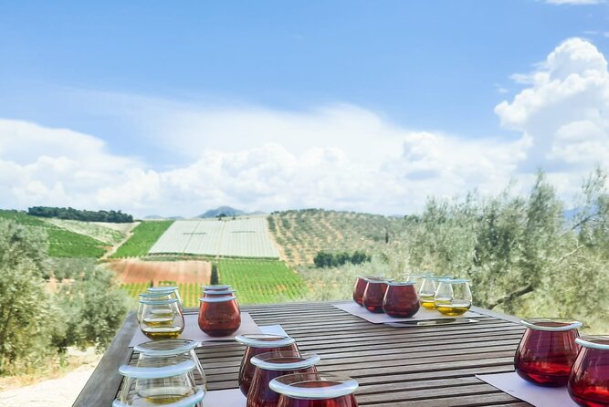 Private tour in Nafplio with Olive oil Tasting Tour in Corinth - What the $529.81 price really covers