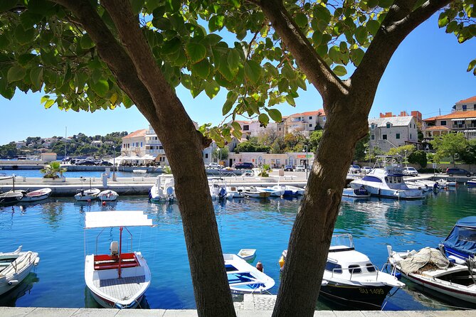 Private tour of Brač island with olive oil tasting - Vidova Gora in 30 minutes