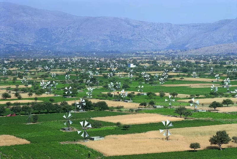 Private Tour, Olive Mill, Scotino Cave, Lasithi Plateau H/D - Why this Crete half-day tour works