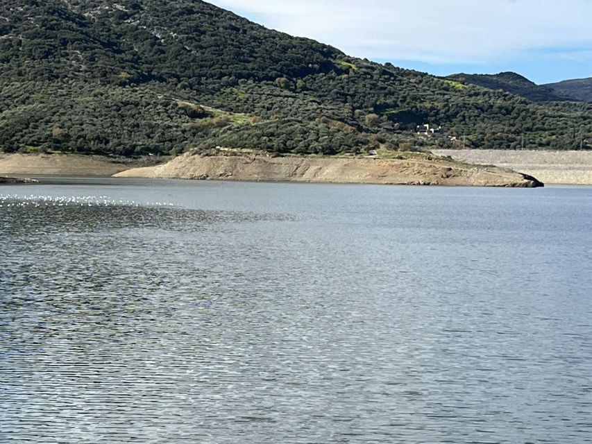 Private Tour, Olive Mill, Scotino Cave, Lasithi Plateau H/D - Lasithi’s windmills and the work behind the view