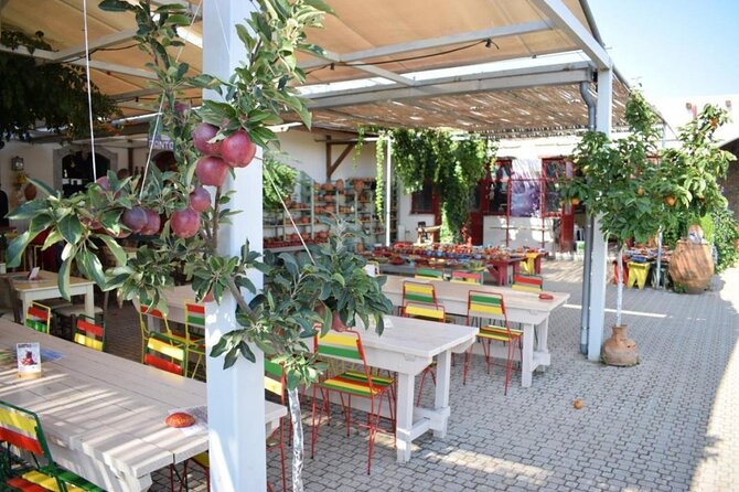 Private Tour, Olive Mill, Scotino Cave, Lasithi Plateau Half day. - Who will enjoy this half-day outing?