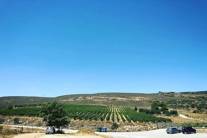 Private Tour: Soap, Olive Oil & Lyrarakis Winery with Lunch - The three possible wineries