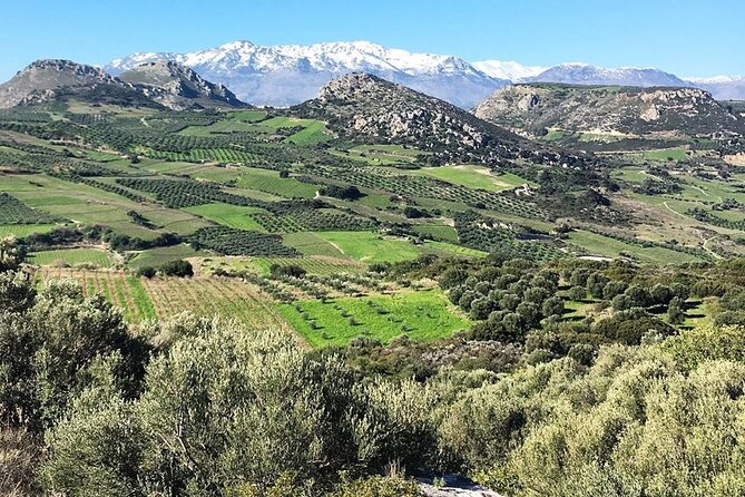 Private Tour: Soap, Olive Oil & Lyrarakis Winery with Lunch - Who will enjoy this Crete wine tour
