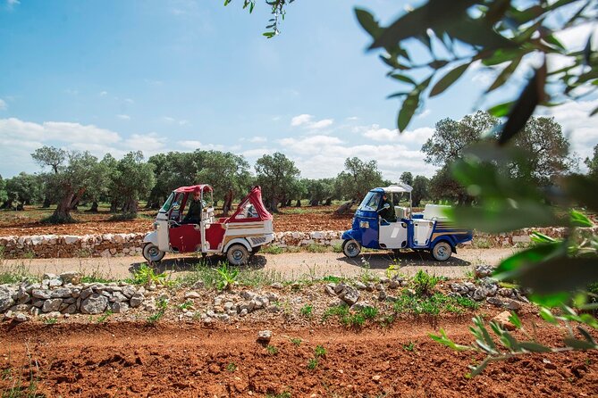 Private Tuk Tuk Tour of the Millenary Olive Groves in Ostuni - Key points at a glance