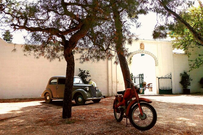 Private Tuk Tuk Tour of the Millenary Olive Groves in Ostuni - From Ostuni’s old town to the olive groves