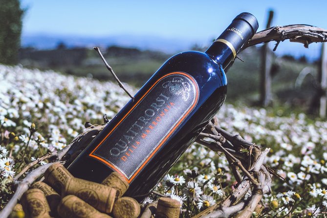 Private Wine and Extra Virgin Olive Oil Tasting - Who will enjoy this tasting most?