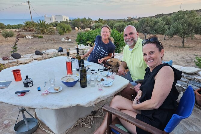 Private Wine & Olives Tasting Experience: Beach View Villa Paros - Why the private format matters