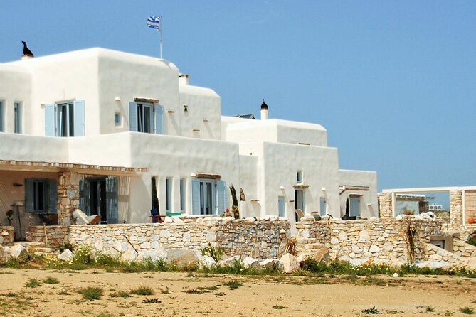 Private Wine & Olives Tasting Experience: Beach View Villa Paros - Who will get the most from this evening
