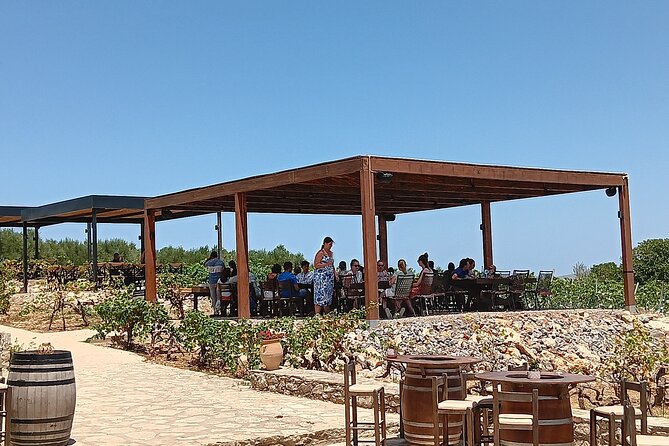 Private Winery Tour with Olive Oil, Honey & Raki Distillery Visit - Who should book this experience