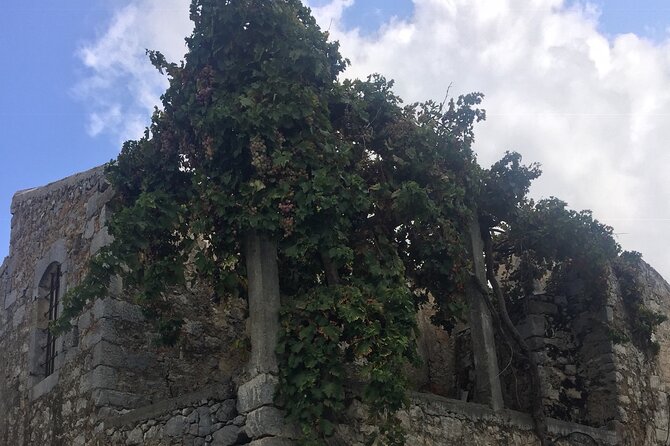 PRIVATE-Zeus Birthplace-Traditional Villages-Olive Oil Factory - From Platanus Tree to Aposelemis Canyon