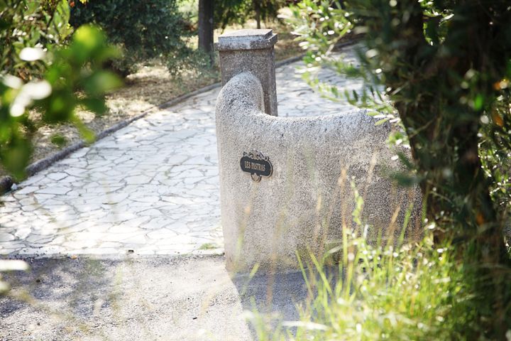 Provence Olive Harvest - Choosing the 10:30 or 14:00 Start