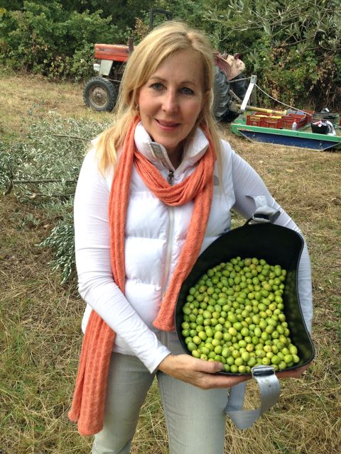 Provence Olive Harvest - Tasting Olive Oil, Truffle Oil, and Truffle Salt