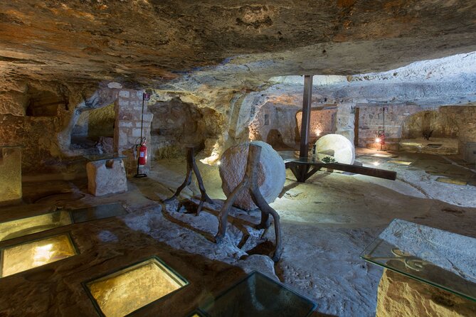 Puglia: Olive Oil Tasting Experience with Olive Grove Walk - Key points to know before you book