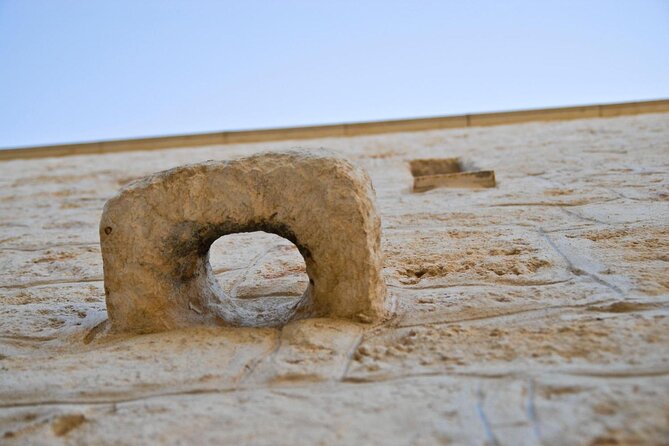 Puglia: Olive Oil Tasting Experience with Olive Grove Walk - My verdict on the Puglia olive oil experience