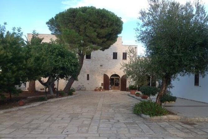 Puglia Olive Oil Tasting Experience with Olive Grove Walk - Should you book the olive oil tasting?