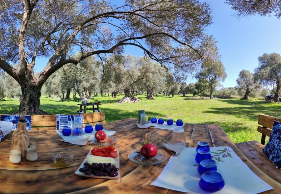 Rethymno: Olive Oil Tasting with Cretan Food Pairing - Practical details that make the day easier