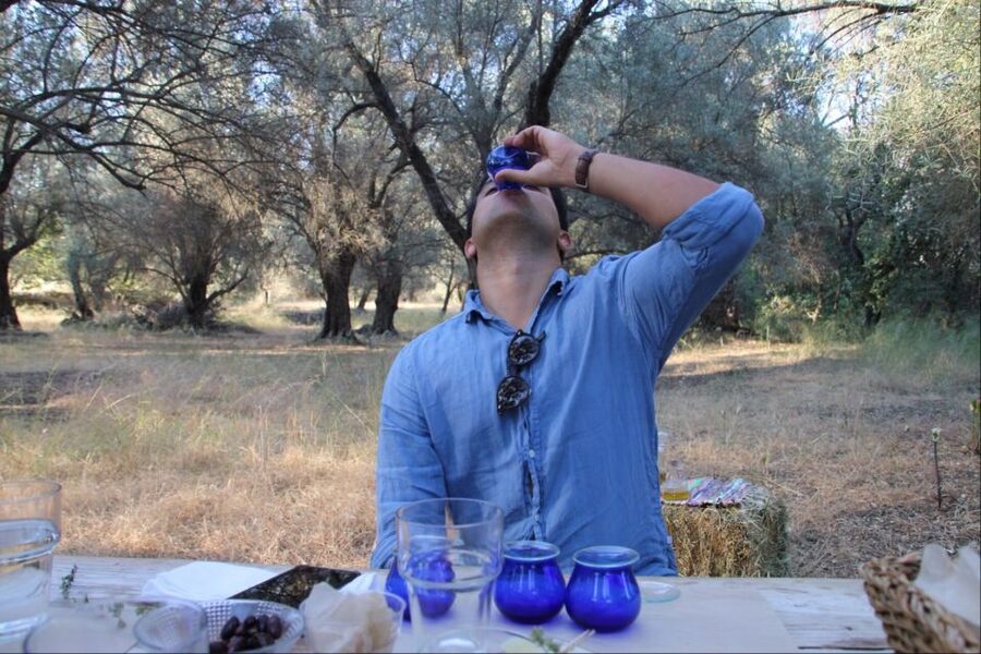 Rethymno: Olive Oil Tasting with Cretan Food Pairing - From olive harvest to extraction