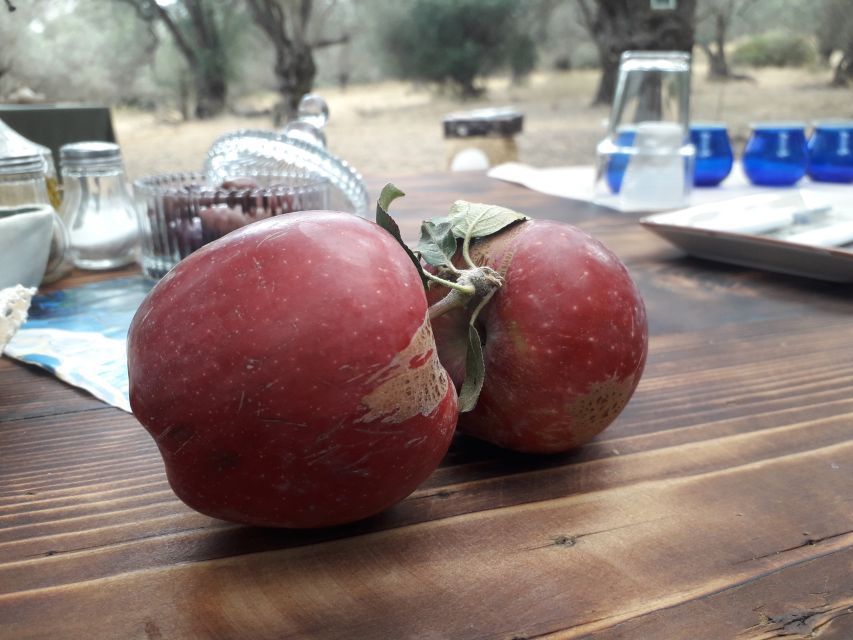 Rethymno: Olive Oil Tasting with Cretan Food Pairing - Price and overall value at $107