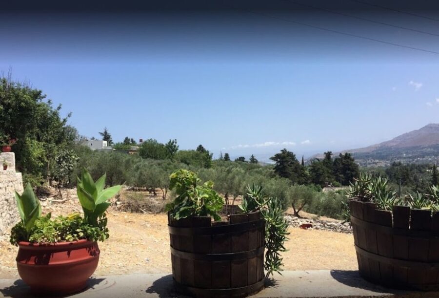 Rethymno: Private Winery & Olive Oil Tasting Tour with Lunch - Why this five-hour outing works well in Crete