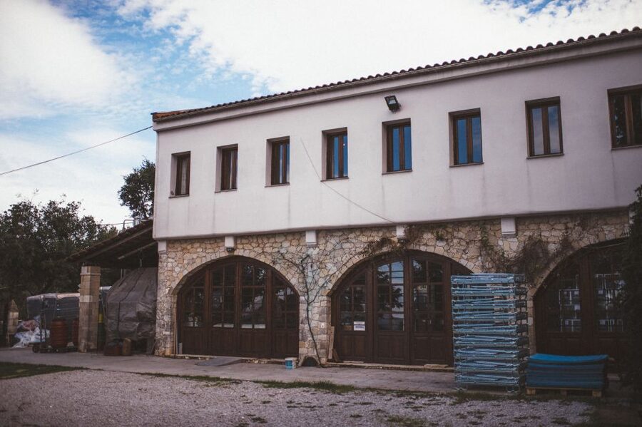 Rethymno: Private Winery & Olive Oil Tasting Tour with Lunch - Who should book this experience?