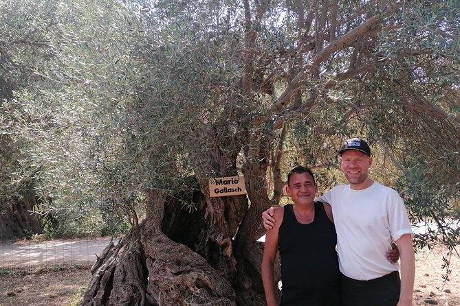 Rethymnon Olive Tree Sponsorship Protect and Plant Tour - Choose between protecting and planting