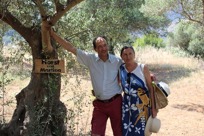 Rethymnon Olive Tree Sponsorship Protect and Plant Tour - Why old olive varieties matter
