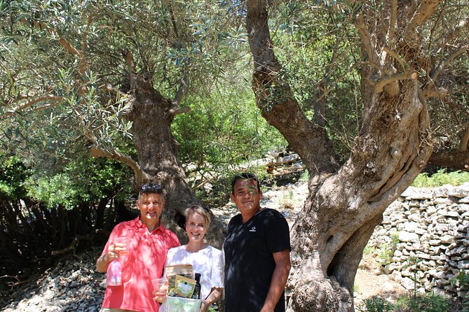 Rethymnon Olive Tree Sponsorship Protect and Plant Tour - The price: what you are really buying