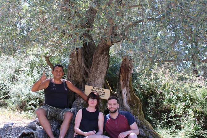 Rethymnon Olive Tree Sponsorship Protect and Plant Tour - What makes the team part of the experience