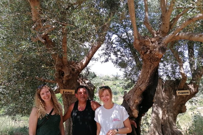 Rethymnon Olive Tree Sponsorship Protect and Plant Tour - A private outing with room for personal moments