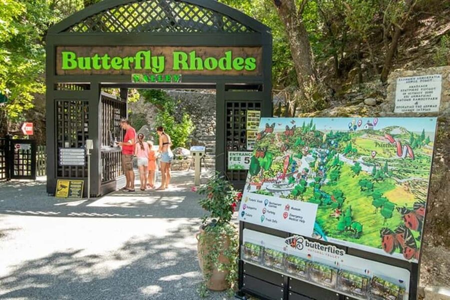 Rhodes: Island Round Tour With Wine Olive Oil, Honey Tasting - Small group comfort, with a few limits