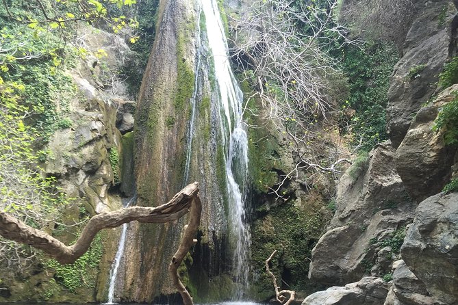 Richtis Waterfall, History, Azoria, OliveTasting, NorthCoast - Price, group size, and what you receive