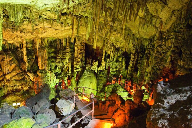 Road-trip to Lasithi, Zeus Cave, Vidiani, Krasi & Olive Mill Farm - The guide, driver, and size of the group