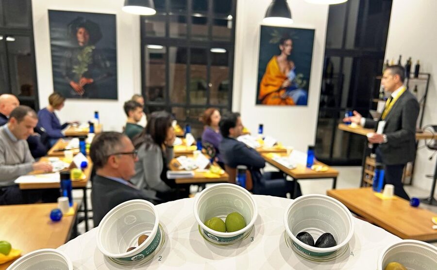 Rome: Masterclass Extra Virgin Olive Oil & Table Olives - Learning What Extra Virgin Actually Means